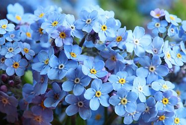 Сергей Грачев: «Мама – самое родное и дорогое для каждого человека»